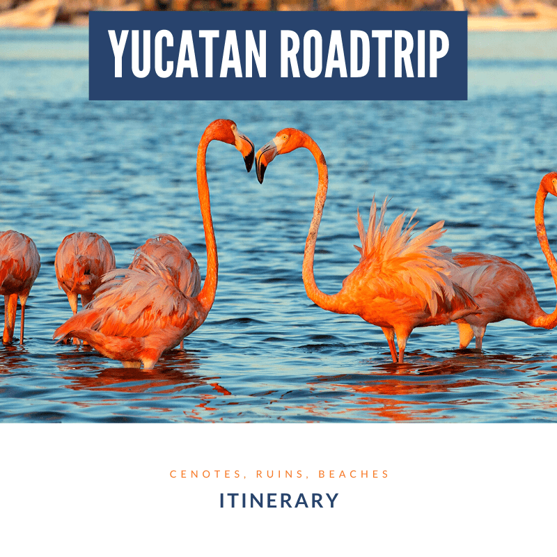 Yucatan Roadtrip Itinerary